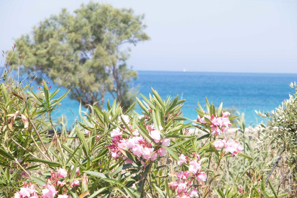 Villa Yialos Antiparos ciudad Exterior foto